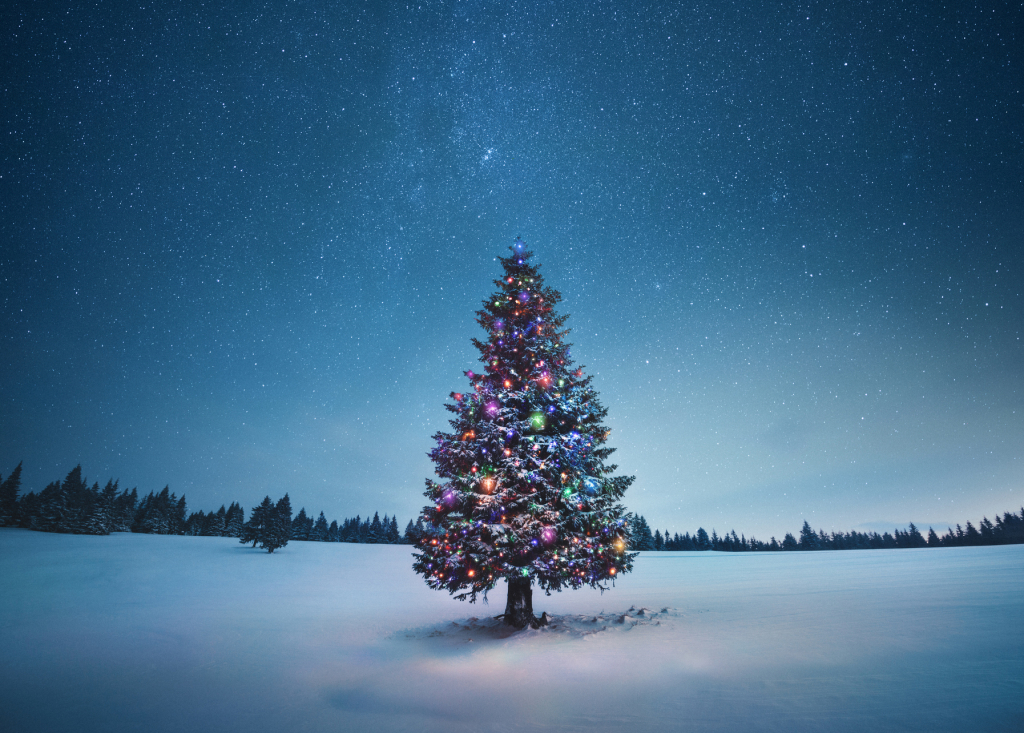 Christmas Tree