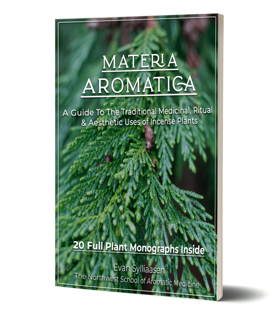materia-aromatica-ebook-cover-918x1024-1