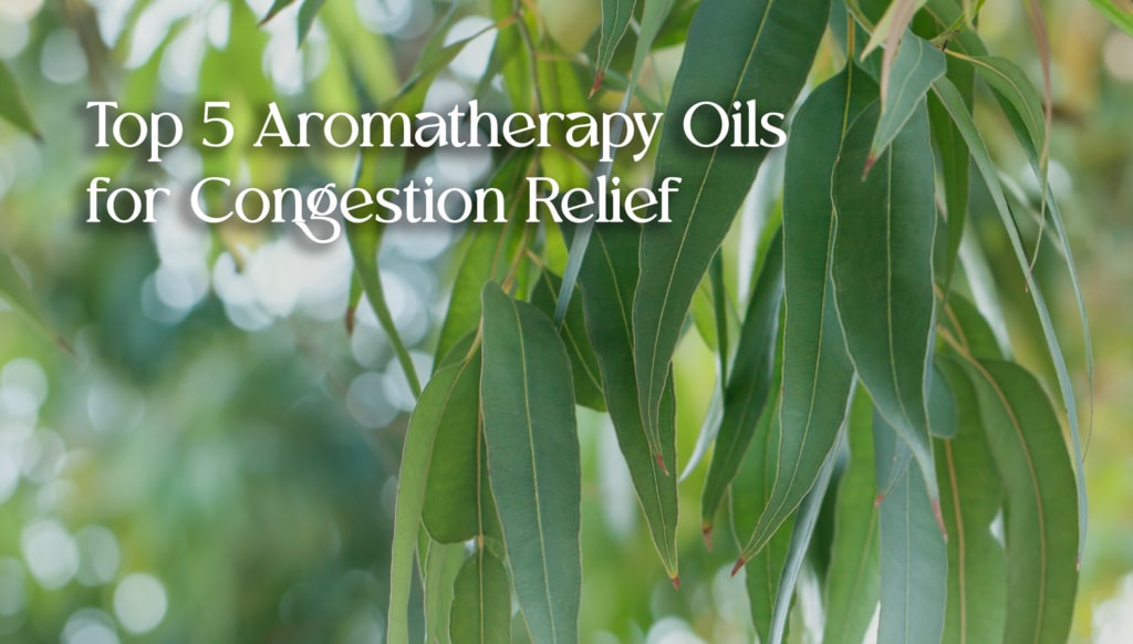 Top 5 Aromatherapy Oils for Congestion Relief text over green eucalyptus leaves