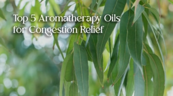 Top 5 Aromatherapy Oils for Congestion Relief text over green eucalyptus leaves