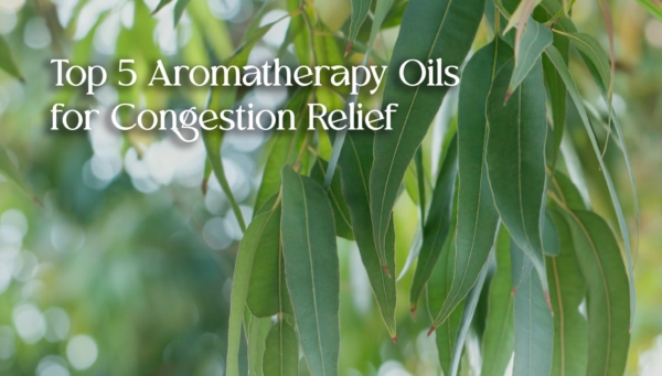 Top 5 Aromatherapy Oils for Congestion Relief