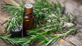 bottle of Rosemary essential oil