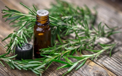 bottle of Rosemary essential oil