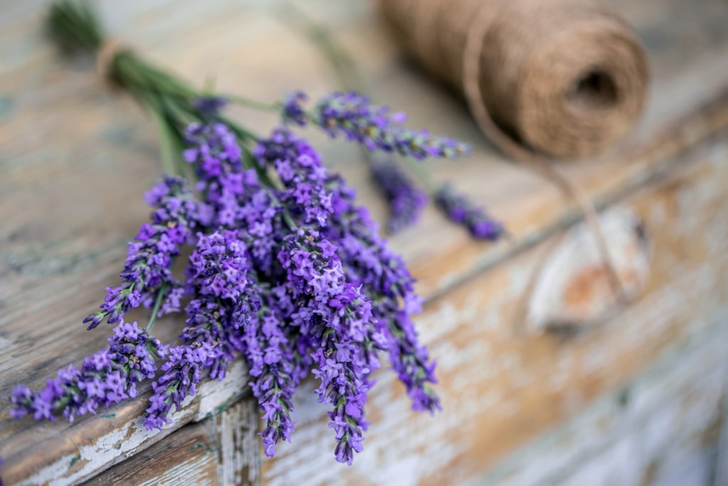 Bunch of lavender flowers Bundle of fresh lavender flowers on wooden table