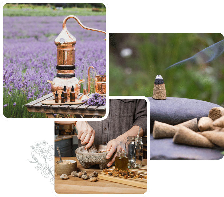 Homepage collage