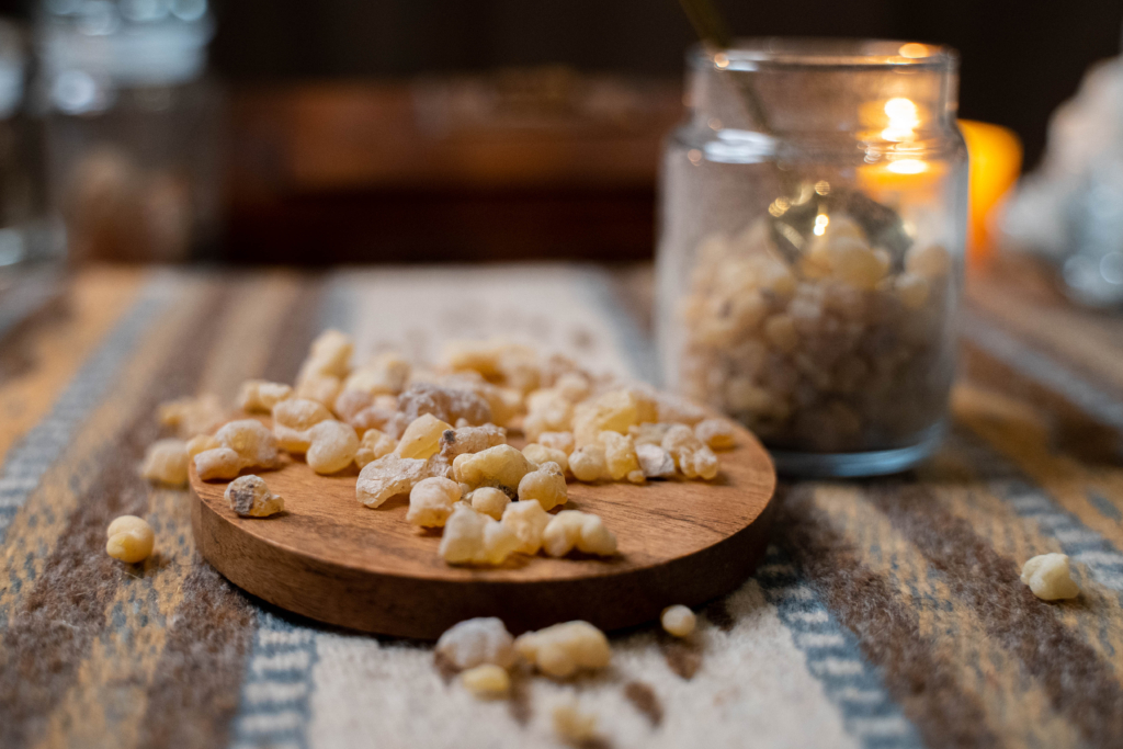 Frankincense Thurifera