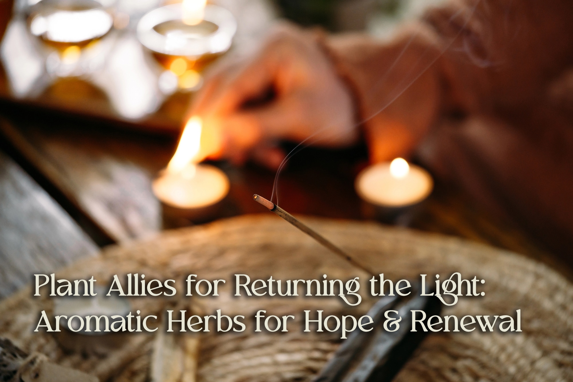 Plant Allies for Returning the Light: Aromatic Herbs for Hope & Renewal