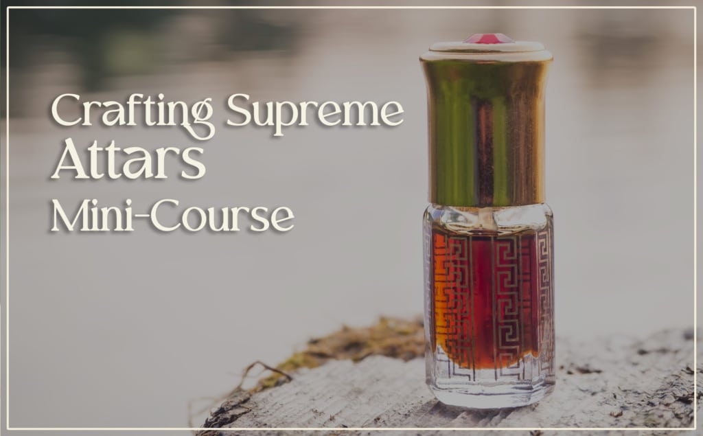 Bottles of perfume with ingredients