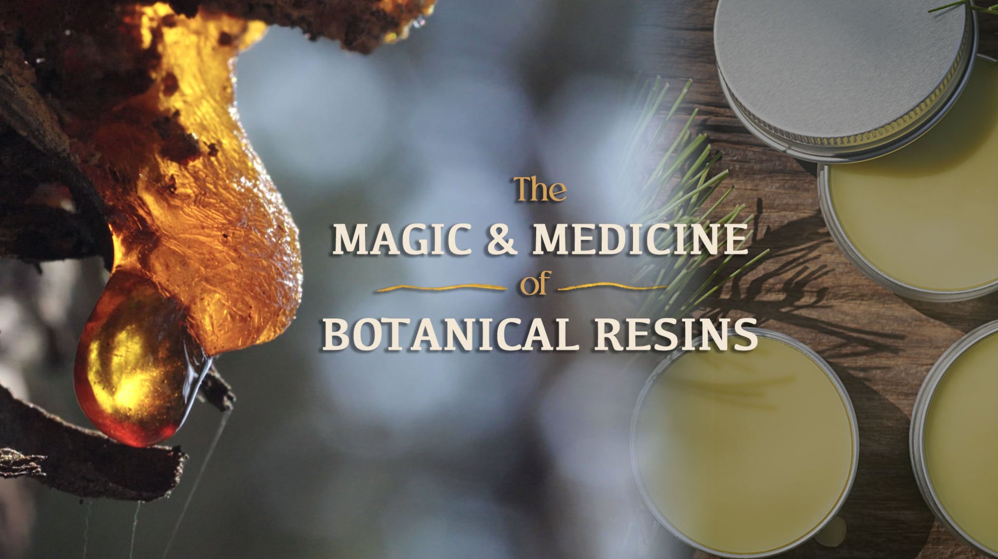 The Magic & Medicine of Botanical Resins, Part I
