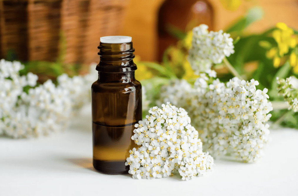 yarrow essential oil