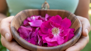 A woman holds a wooden bowl full of pink roses and rose petals